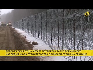 best беловежская пуща может потерять статус объекта всемирного наследия юнеско best