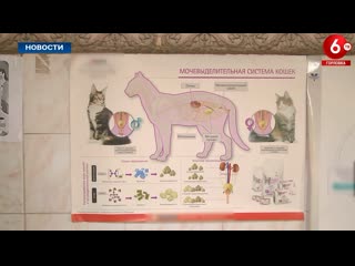 best медицина лечит людей а ветеринария человечество best