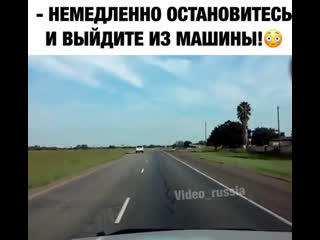 best обычная мексиканская семья выехала на пикник best