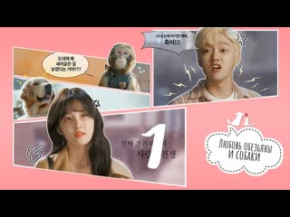 best mania 0110 720 любовь обезьяны и молодые monkey and dog romanc best