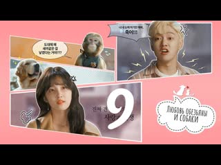 best mania 0910 720 любовь обезьяны и молодые monkey and dog romanc best