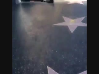 best перфоманс на аллее славы калифорния сша best