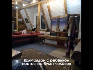 best что делают няни пока мы не видим чёрный список best