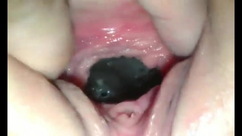 best моя великолепная дыроч порно xxx porno sex порно секс эротика девушки грудь женщины сучки шлюхи сиськи анал минет best