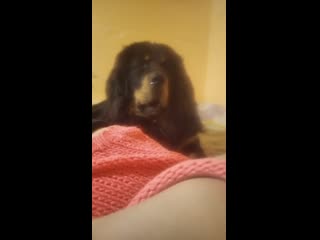 best boy storageemulated0dcimcameravid 20200130 145737 mp4 best