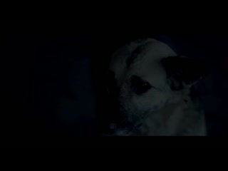 best социальный ролик бездомные молодые 2 тыс видео найдено в яндекс видео о mp4 best