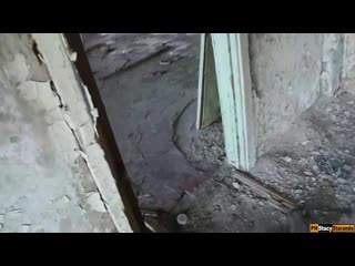 best на заброшке девушка сразу возбудилась и полезла в трусы best