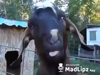 best девчонка мастурбирует после чтения романа порно видео с mini порно gjhyj porno эротика 18 секс инцест порево порнуш best