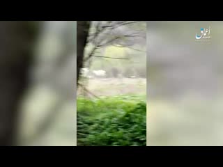 best опубликовано видео засады боевиков иг неподалеку от населенного пункта урус мартан в чечне которая была 22 апреля best
