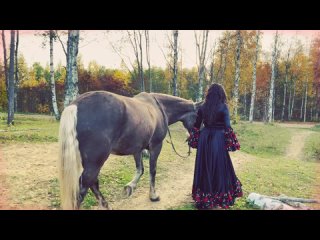 best цыганские танцы цыганские песни ехали цыгане певец сергей тарасов цыганский ансамбль заказать best