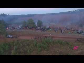 best мигранты разбили палаточный лагерь на границе между беларусью и польшей best
