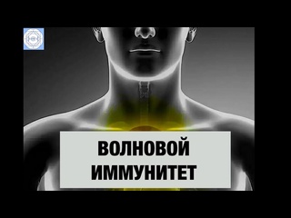 best матрица гаряева волновой иммунитет best