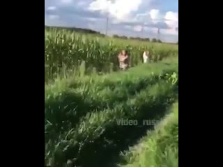 best вписка копы копы сваливаем кукурузка нас засекли бросай их новых найдём полиция шухер best