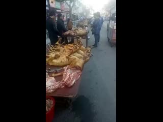 best шок видео 18 собачий рынок в корее best