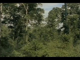 best ад каннибалов 2 съеденные заживо eaten alive 1980 vhs перевод сергей визгунов best