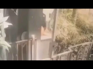 best на бали стеклянный лифт с пассажирами внутри сорвался с высоты 90 м и разбился best