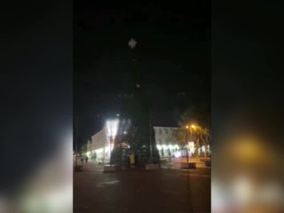best пока в домах на ёлки пытаются забраться коты в геленджике на городскую ёлку залезла алкогеленджичанка best