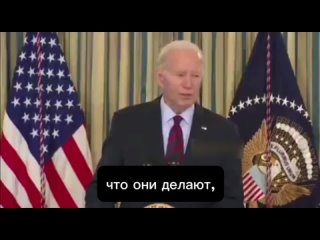 best коржик указал что его печеньки стали меньше best