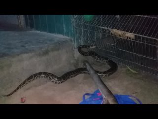 best анонимный чат знакомства eeper bultos apanhados peterita scheer calcinhazl usando tanguinha bege limasp granda best