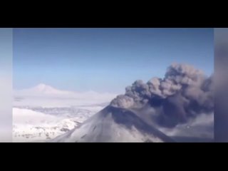 best servant screen recording 20211115 090701 yandex 1 mp4 best