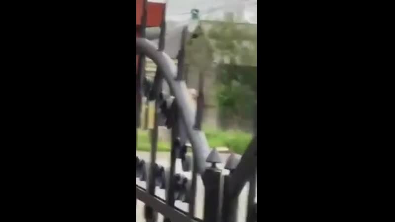 best в салехарде пара занялась сексом возле памятника best