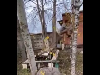best осторожно злая молодые best