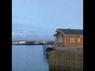 best my job in lofoten started with a lovely fish soup for lunch in sakrisøy best
