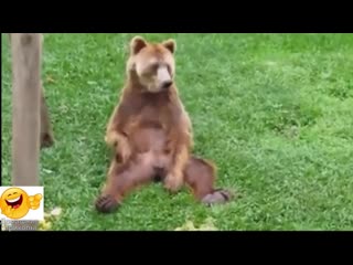 best видео продлит вам жизнь приколы с молодые ноябрь 2016 2 best