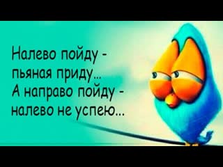 best юмор позитив веселые цитаты анекдоты для настроения смех да и только best