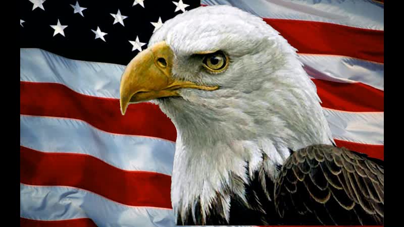 best саня во флориде взлетели цены на еду в сша best