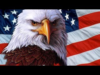 best саня во флориде кремниевая долина очередная дичь usa сша санявофлориде саня во флориде best