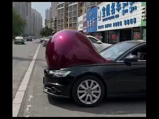 best в китае из за рекордной аномальной жары появились беременные автомобили best
