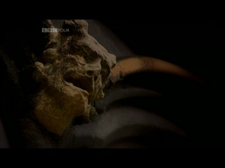 best bbc внутри средневекового разума секс inside the medieval mind sex 2008 г фильм 2 из 4 best