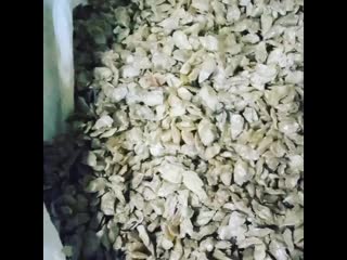 best screaming vid 150211116 025456 395 mp4 best