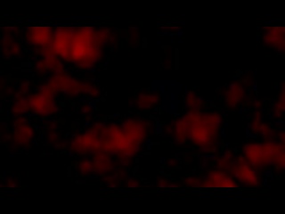 best xhamster com 14526834 keptsecret le rompe el culo a daniel hausser bareback 240p mp4 best