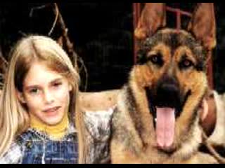 best девочка и волк mein freund der wolf 1999 германия драма молодые в кино режиссёр сусанна цанке best