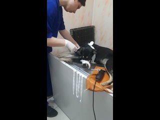 best видео от подари жизнь бездомным молодые волгограда best