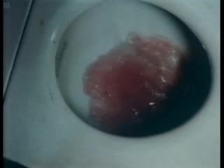 best турецкие наслажденияturks fruit1973 sex porn erotic movies секс порно эротика рудгер хауэр best