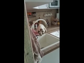 best умоюсьчтобы мамка меня в ванну не потащила best