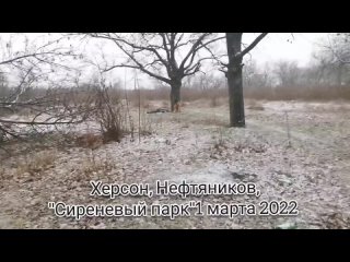 best очень жёсткое видео из херсона где тероборона попыталась устроить засаду на российскую колонну best