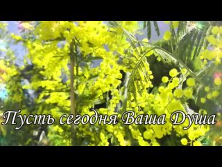 best супер поздравление на 8 марта с международным женским днём музыкальная видео открытка с 8 марта mp4 best