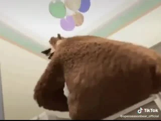best молодые порно с медведем в hd качестве русский мужик выебал медведя в жопу и сладко кончил в анал best
