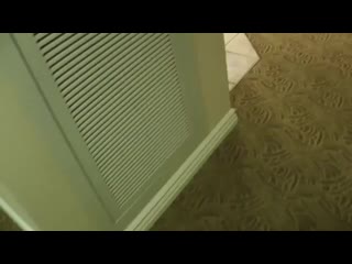 best and vid 20191225 091600 216 mp4 best