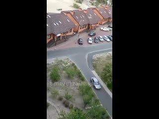 best в городе украинка криминальный авторитет забил стрелку возле ресторана чтобы обсудить выборы в горсовет best