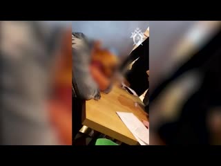 best 24 летняя жительница дагестана приехала в москву чтобы родить и продать новорождённого ребёнка best