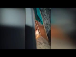 best школьник судя по всему 5 7 класс доказывает маме что гитлер нёс добро best