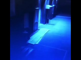 best в приморье мужчина не прошёл фейс контроль в местный ночной клуб обиделся и решил его поджечь оставив покрышку у best