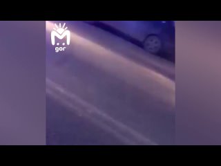 best в дагестане водила на семёрки долгое время катал на капоте сотрудника дпс несмотря на призывы выйти из машины best