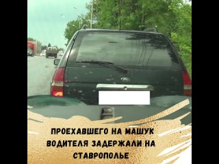 best мужчина собирался познакомить друга с достопримечательностью пятигорска best