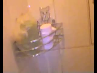 best злой дед сидит в туалете он срёт говном говно и потом он подрочил но не на камеру он дрочил best